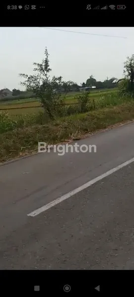 image LAHAN SUMOBITO JOMBANG  (4)