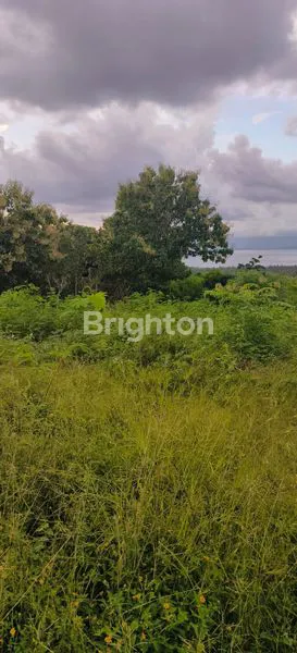 TANAH NUSA PENIDA LOKASI STRATEGIS