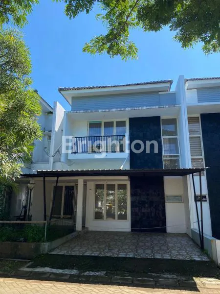 image TANJUNG BUNGA AMARYLIS (1)