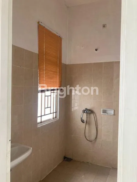 image TANJUNG BUNGA AMARYLIS (8)