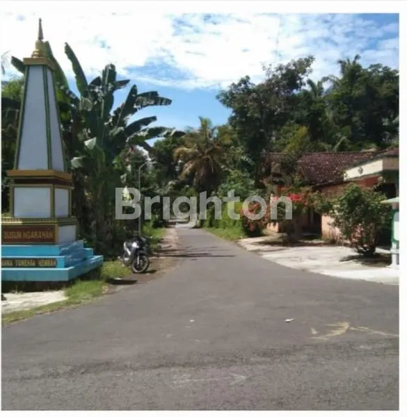 image TANAH LUAS 124 M² DI SLEMAN, COCOK HUNIAN ATAU INVESTASI  (3)