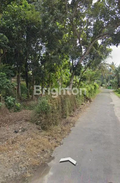 image TANAH LUAS 124 M² DI SLEMAN, COCOK HUNIAN ATAU INVESTASI  (2)