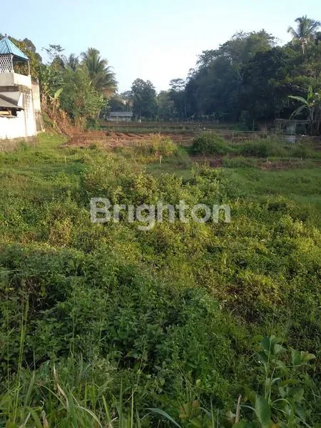 image TANAH SUKABUMI (4)