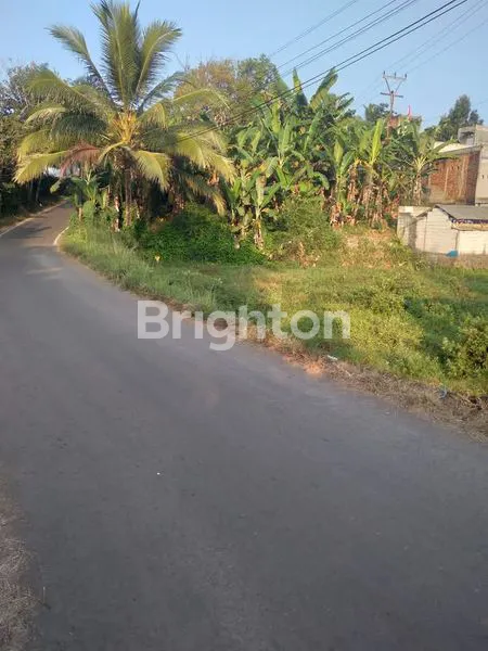 image TANAH SUKABUMI (2)