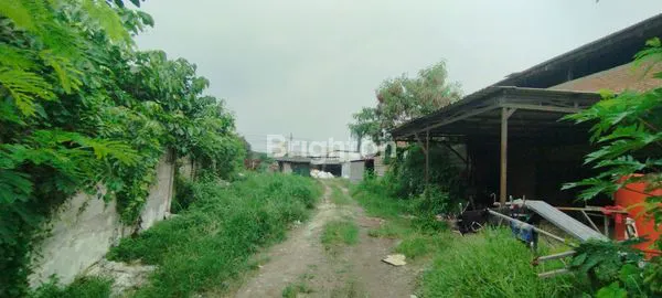 image TANAH ZONA INDUSTRI 0 JALAN RAYA KEPATIHAN-MENGANTI-GRESIK (3)
