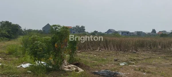 image TANAH ZONA INDUSTRI 0 JALAN RAYA KEPATIHAN-MENGANTI-GRESIK (7)