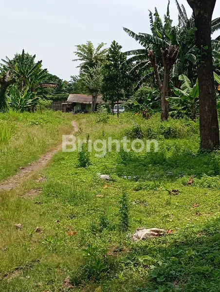 image TANAH , COCOK UNTUK GUDANG, DI JAKARTA BARAT.  (3)