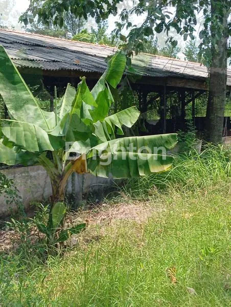 image TANAH , COCOK UNTUK GUDANG, DI JAKARTA BARAT.  (4)
