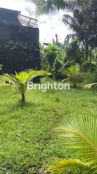 image TANAH DI DEKAT PUSAT KOTA TABANAN (6)