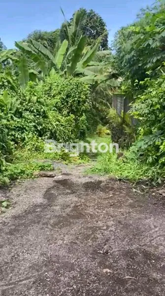 image TANAH DI DEKAT PUSAT KOTA TABANAN (3)