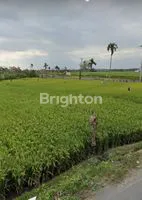 Picsart 25 04 18 20 19 42 389