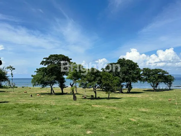 image INVESTASI LANGKA! TANAH KAVLING TEPI PANTAI SABA – VIEW SUNRISE TIAP PAGI! (7)