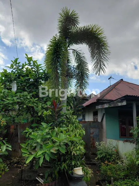 image JUAL TANAH BONUS BANGUNAN DI PINGGIR JALAN SURYA, PONTIANAK SELATAN (3)