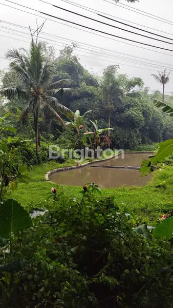 image TANAH DI BOYOLALI (4)