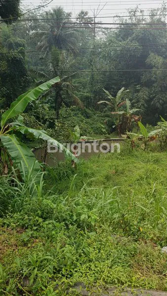 image TANAH DI BOYOLALI (5)