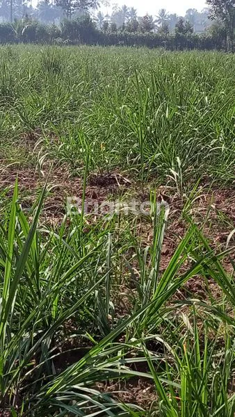 TANAH STRATEGIS 4.521M² DEKAT PASAR BULULAWANG