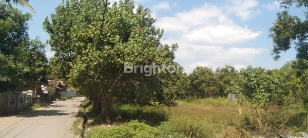 TANAH DI CIREBON PINGGIR JALUR PANTURA