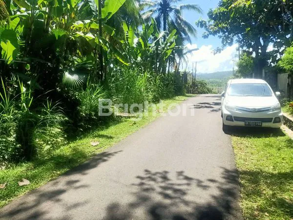 TANAH DIJUAL 50 ARE BISA AMBIL SEBAGIAN MIN 15 ARE DEKAT PANTAI DI PEKUTATAN JEMBRANA BALI BARAT