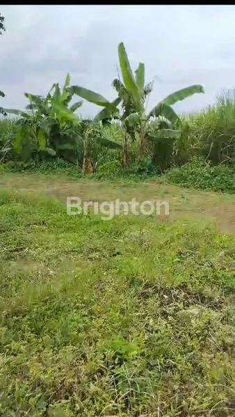 image TANAH KAVLING BAGUS SIDORAHAYU (1)