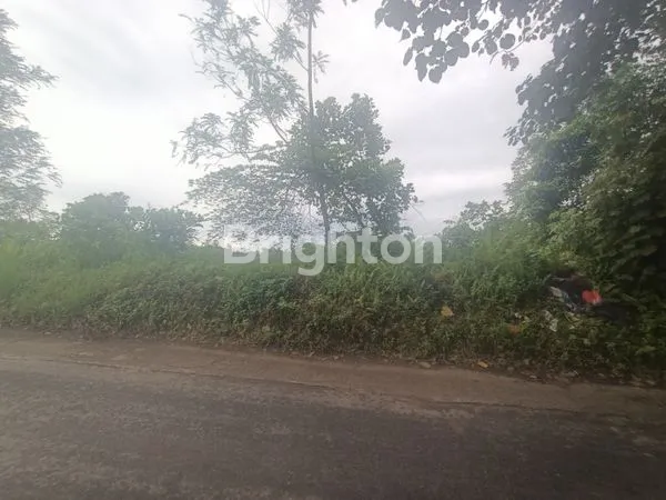 image TANAH BESERTA KOLAM DI JALAN TANGKAHAN BATU, PATUMBAK DELI SERDANG (6)