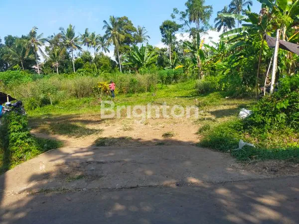 image JUAL TANAH DI SINGARAJA (1)