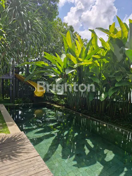 VILLA DI TENGAH KOTA VIEW SAWAH DI RENON