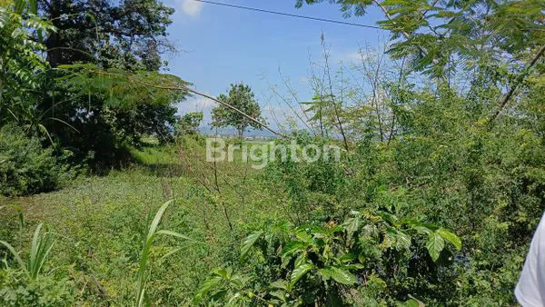 image DIJUAL TANAH SIAP BANGUN  PINGGIR JALAN RAYA LUAS  1300 M2 DEKAT KIK DAERAH  KUMPULREJO, KALIWUNGU KENDAL  SEMARANG (3)