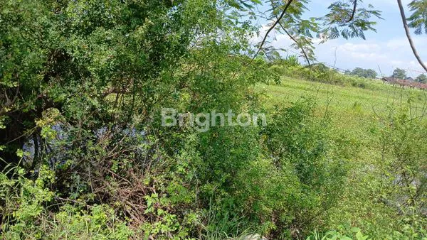 image DIJUAL TANAH SIAP BANGUN  PINGGIR JALAN RAYA LUAS  1300 M2 DEKAT KIK DAERAH  KUMPULREJO, KALIWUNGU KENDAL  SEMARANG (2)