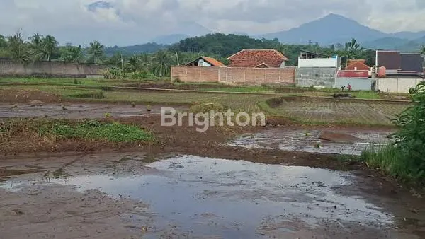 TANAH SAWAH PRODUKTIF