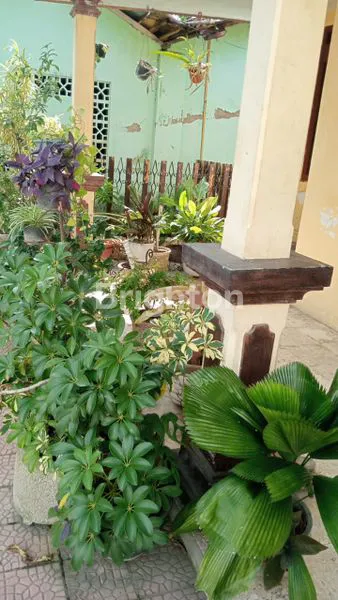 image RUMAH DI NUSUKAN (2)