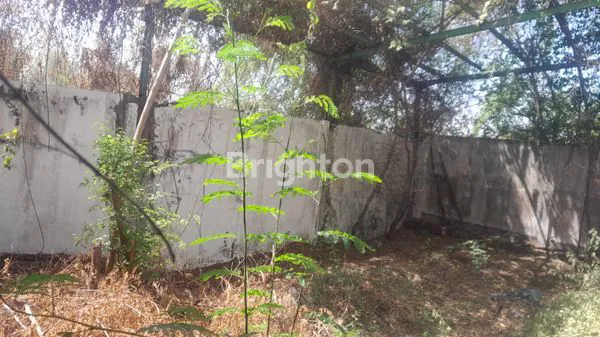 image PABRIK AKTIF DRIYOREJO! (1)