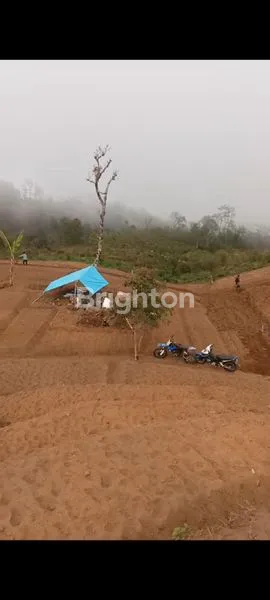 image LAHAN STRATEGIS UNTUK VILLA & PERTANIAN (7)