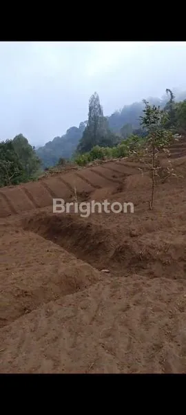 image LAHAN STRATEGIS UNTUK VILLA & PERTANIAN (5)