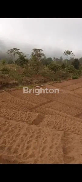 image LAHAN STRATEGIS UNTUK VILLA & PERTANIAN (8)