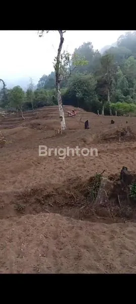 image LAHAN STRATEGIS UNTUK VILLA & PERTANIAN (3)