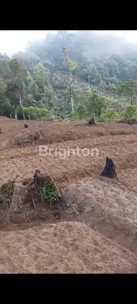 image LAHAN STRATEGIS UNTUK VILLA & PERTANIAN (2)