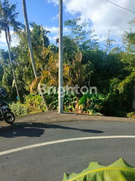 LAHAN PINGGIR SUNGAI DAERAH VILLA DAN PENDUDUK