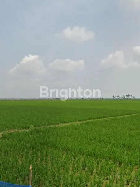 TANAH DATAR BISA UNTUK BERBAGAI USAHA