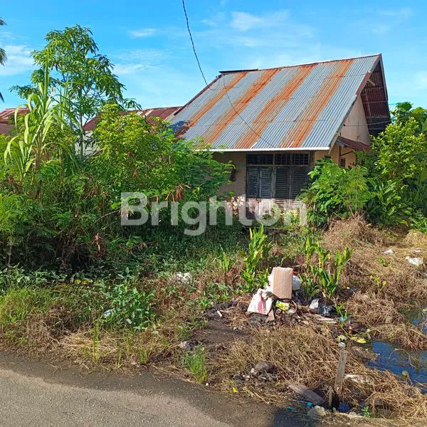 image TANAH 2 KAVLING COCOK UNTUK KONTRAKAN, DI JL  PERDAMAIAN, GG. SUKA BASUKI KUBU RAYA (2)