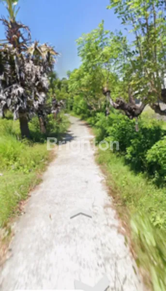 image DIJUAL TANAH KARANG ASEM TULAMBEN BALI (1)