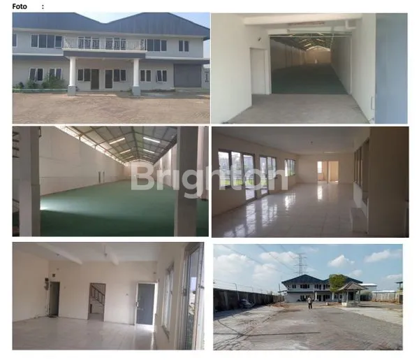 KEMIRI SEWU PANDAAN PASURUAN