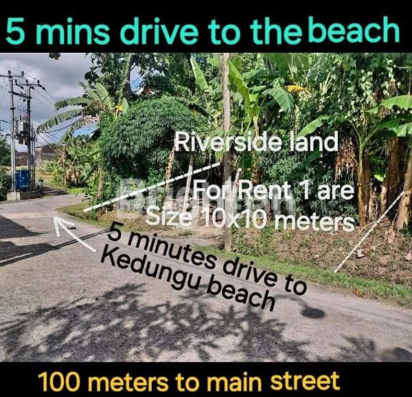 image LAND FOR RENT  5 MINUTES DRIVE TO KEDUNGU BEACH & 25 MINUTES DRIVE TO CANGGU AND PERERENAN (3)