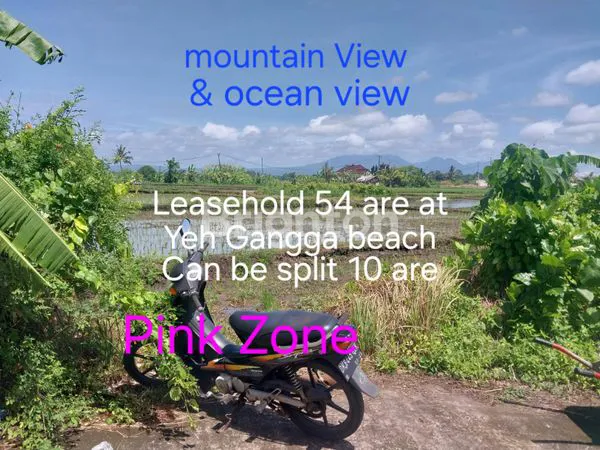 image PINK ZONE LAND FOR RENT ( LEASEHOLD ) 200 METERS TO YEH GANGGA BEACH . (2)