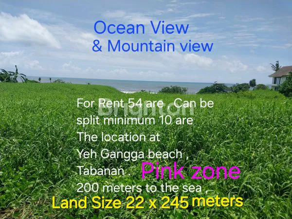 PINK ZONE LAND FOR RENT ( LEASEHOLD ) 200 METERS TO YEH GANGGA BEACH .