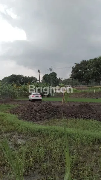image DIJUAL TANAH DI GIANYAR DEKAT PANTAI LEBIH DAN TAMAN SAFARI BALI (6)