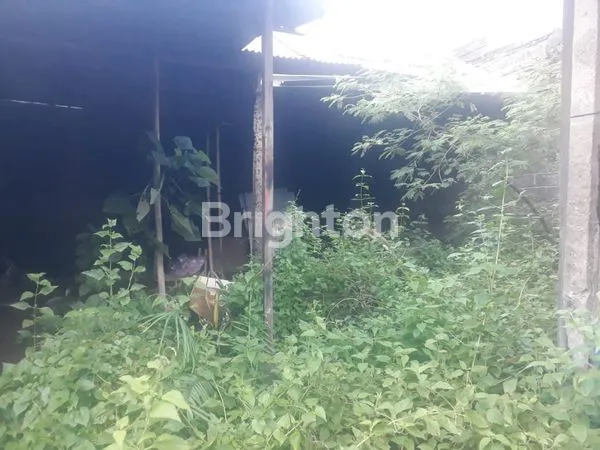 image TANAH MURAH DI KOTA KLUNGKUNG (7)