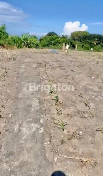 image FOR SALE 3300M2 LAND SUITABLE FOR BUILDING A VILLA COMPLEX OR OTHER ACCOMMODATION WITH ETERNAL SEA VIEW IN THE IB MANTRA AREA (7)