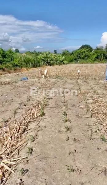 image FOR SALE 3300M2 LAND SUITABLE FOR BUILDING A VILLA COMPLEX OR OTHER ACCOMMODATION WITH ETERNAL SEA VIEW IN THE IB MANTRA AREA (2)