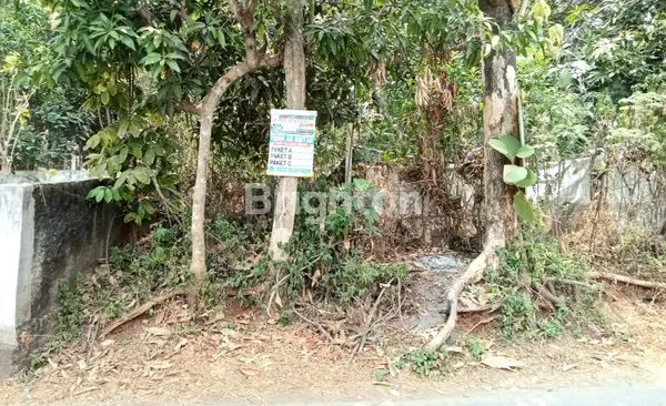 image DIJUAL SEBIDANG TANAH PINGGIR JALAN KECAMATAN SETU (3)