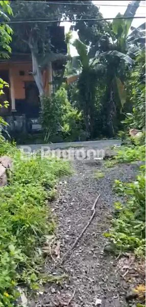 image TANAH 420 M2 DI LOKASI STRATEGIS DI KOTA TABANAN (1)